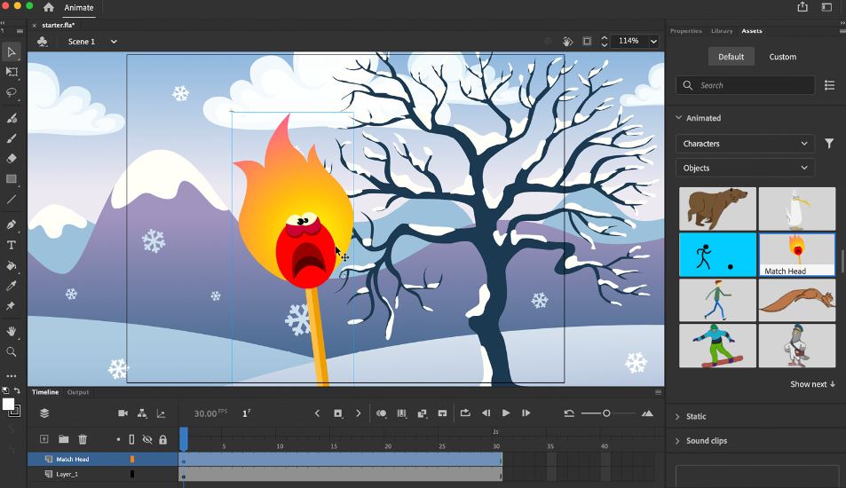 Adobe Animate review