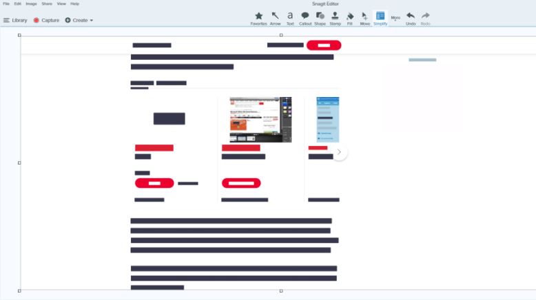 Snagit review
