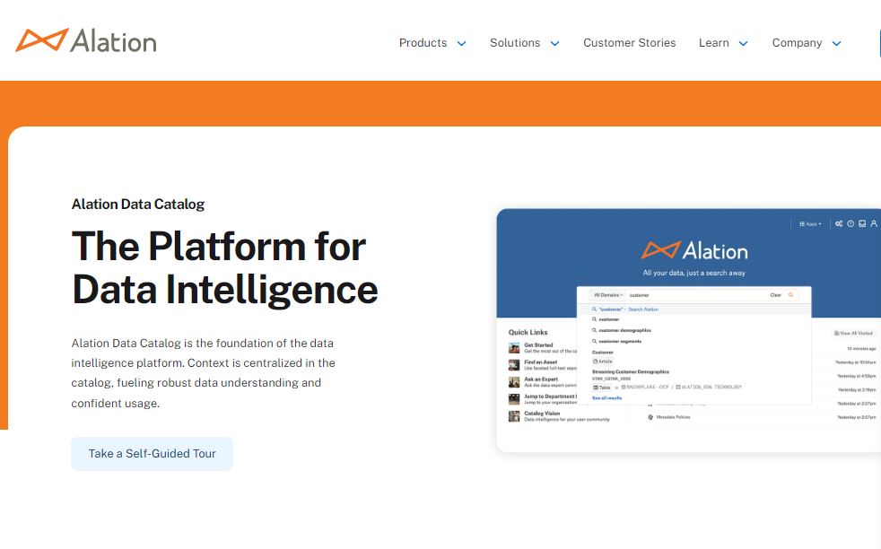 Alation Data Catalog review