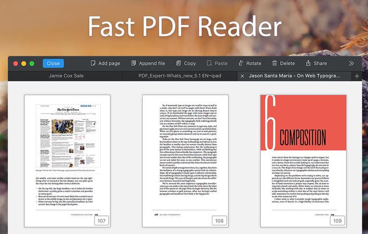 PDF Expert review