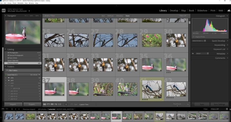 Best Luminar Neo Alternatives