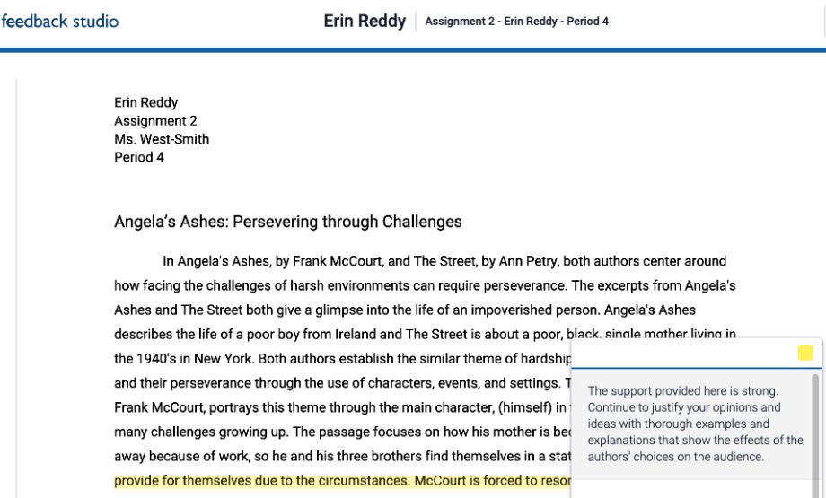 Turnitin review 