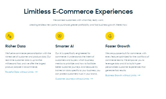 Bloomreach review