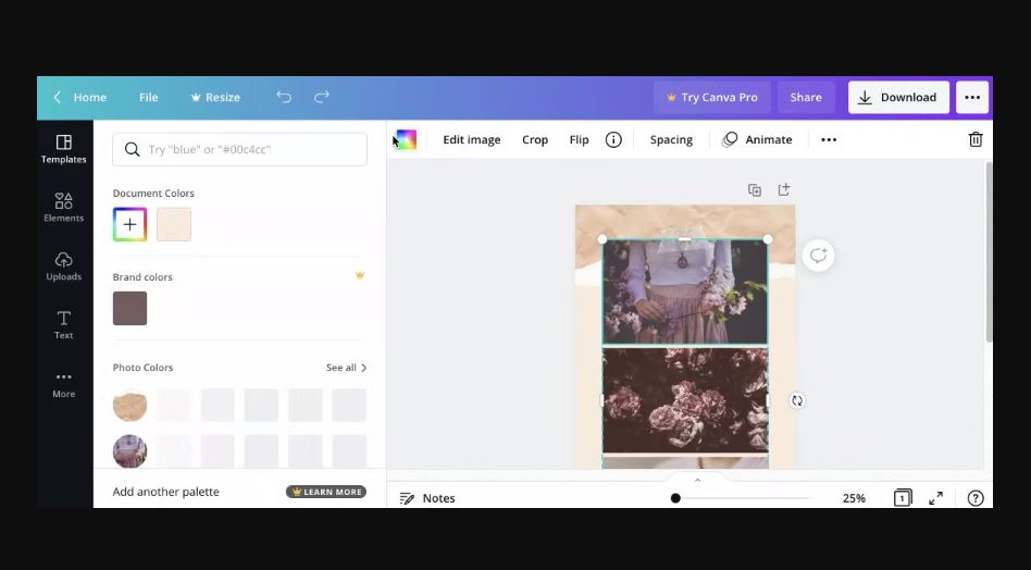 How to Change Color of Element in Canva