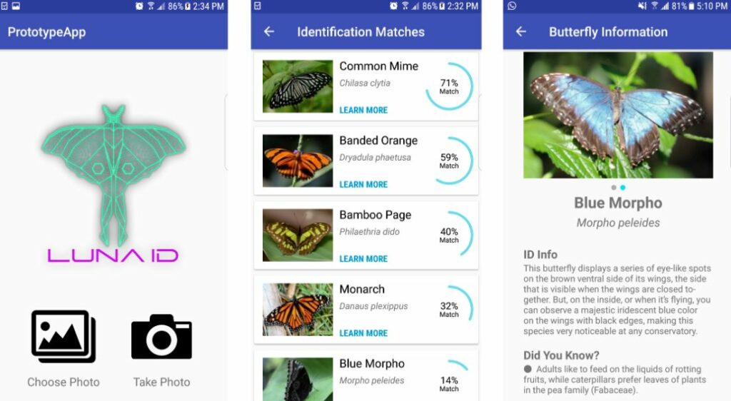 Best Bug Identifier Apps for Android