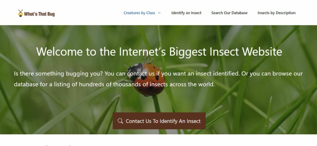 Best Bug Identifier Apps for Android