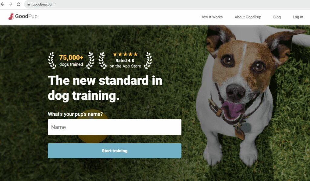 Best Apps for Dog Lovers