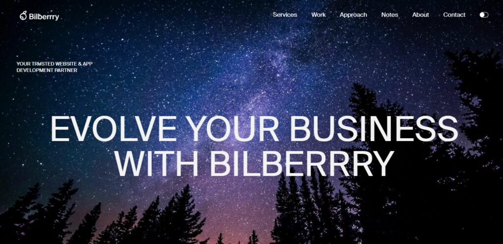 Best WordPress Web Design Experts