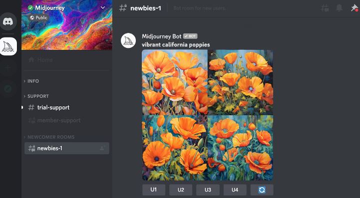 Midjourney vs Adobe Firefly 2