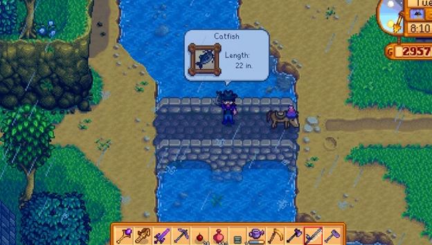 Stardew Valley: How to Catch Catfish