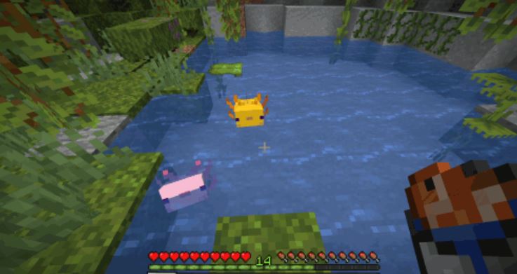 How to Breed Axolotls in Minecraft