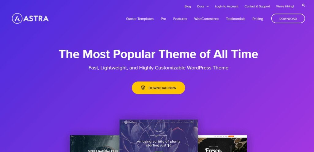 Best eCommerce WordPress Themes