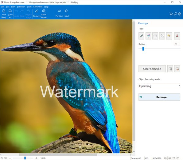 How to easily Remove a Watermark From a Photo