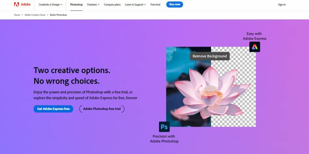 Best PicMonkey Alternatives