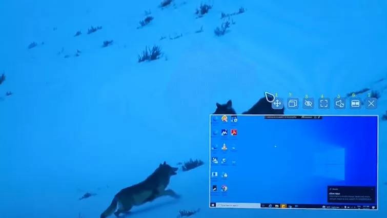 How to Use Split Screen on LG Smart TV