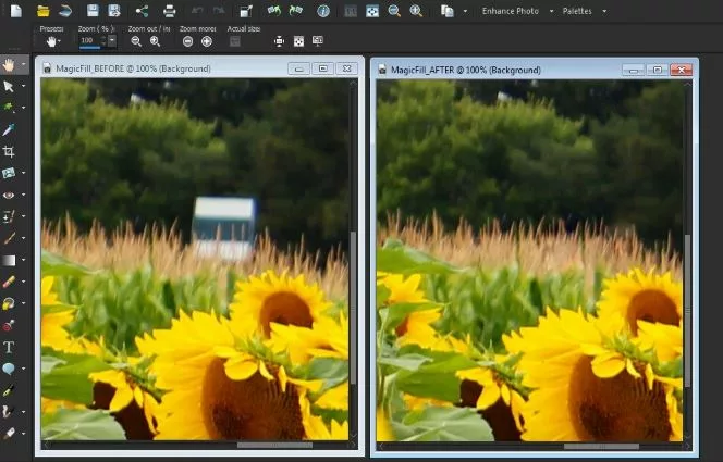 Paintshop Pro vs Photoshop