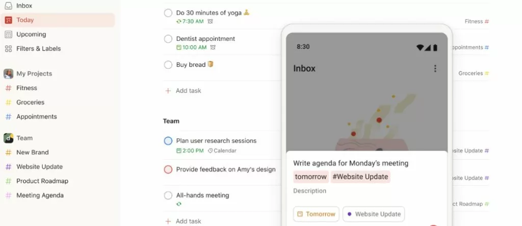  Meistertask vs Todoist