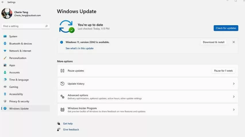 How to Fix "Black screen when playing games" issue on Windows 11/10
