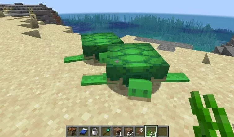 How to Breed Turtles in Minecraft