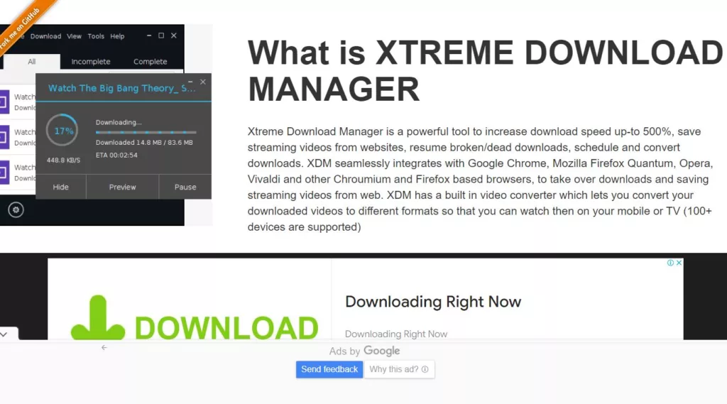 Xtreme Download Manager review