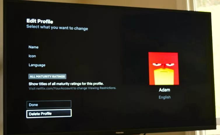 How to delete Netflix profile on PC, mobile device, or TV